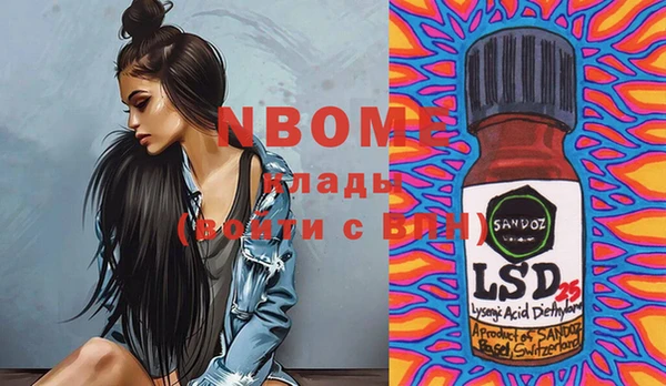 винт Лабытнанги