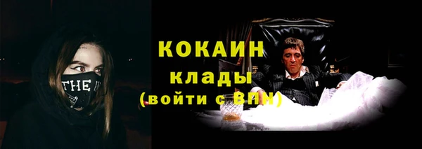 соль ск Ладушкин