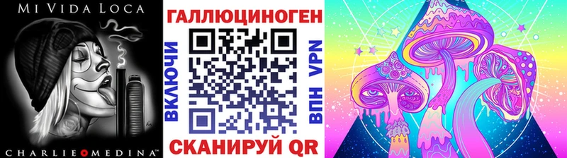 Галлюциногенные грибы Psilocybine cubensis  Новое Девяткино 